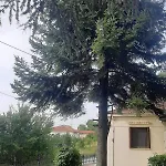 Country Destination In Mountainous Trikala! Prázdninový dům *